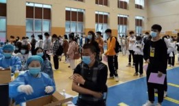 李宝敏最新爆料消息,揭秘娱乐圈惊人内幕